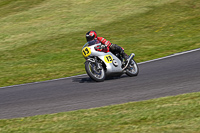 Vintage-motorcycle-club;eventdigitalimages;mallory-park;mallory-park-trackday-photographs;no-limits-trackdays;peter-wileman-photography;trackday-digital-images;trackday-photos;vmcc-festival-1000-bikes-photographs